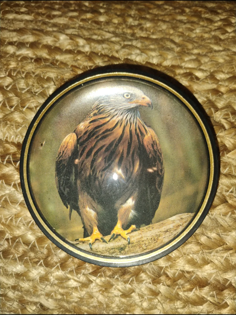 Wild Eagle Decorative Bird Paperweight Brown